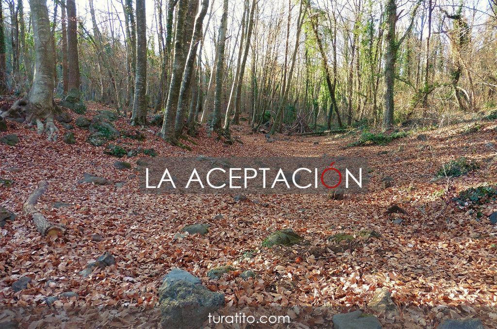 aceptacion