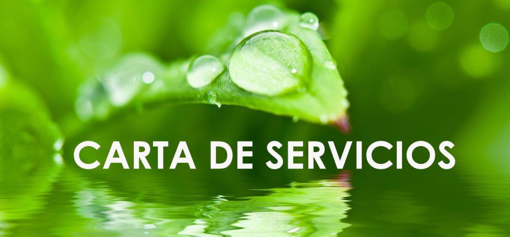 carta servicios estetica titol