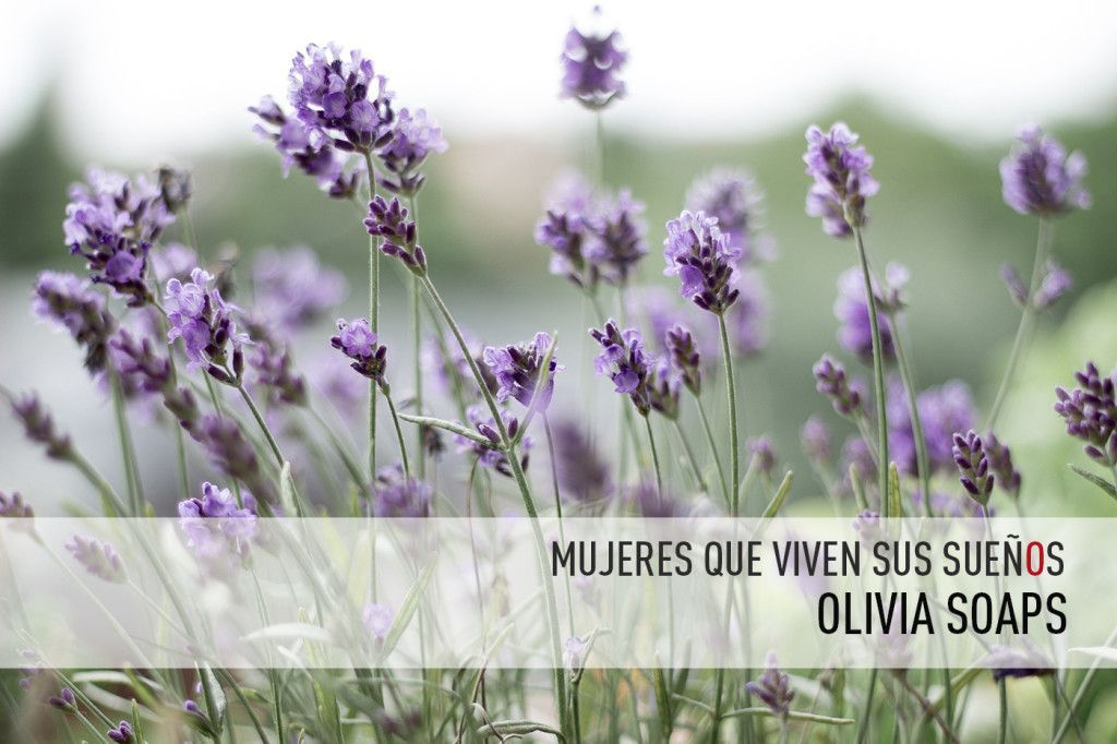 entrevista paula