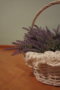 espacio lavanda2